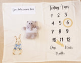 Baby Milestone Blanket Newborn Gift., Baby Shower Baby Keepsake,