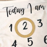 Baby Milestone Blanket Newborn Gift., Baby Shower Baby Keepsake,