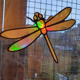 DRAGONFLY DECAL FOR WINDOW CAR LAPTOP MIRROR DRINKS BOTTLE